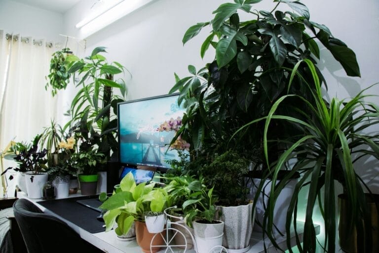 Tak Tahan Beranda Panas? 8 Teknik Rahsia Sejukkan Rumah Yang Ramai Tak Tahu! 3 rumahhq kontraktor bina ubahsuai rumah unsplash7 68